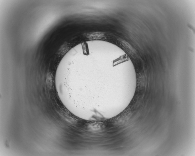 X0000095910761200802011150