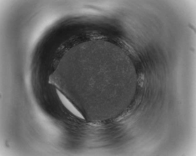 X0000095910763200802011150