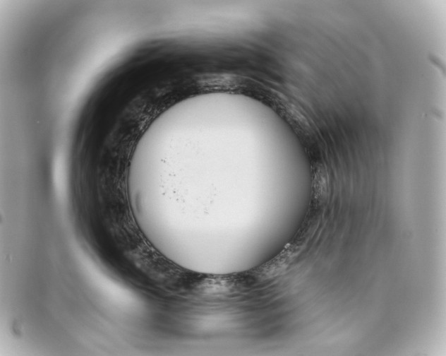 X0000095910764200802011150