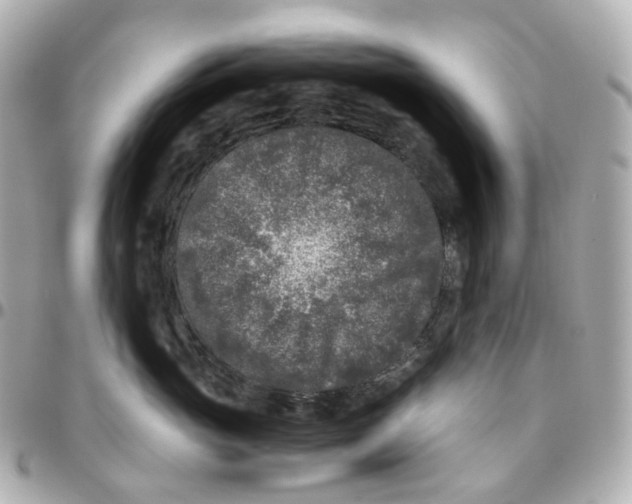 X0000095910765200802011150