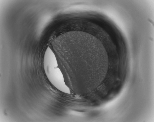 X0000095910766200802011150