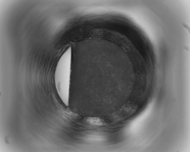 X0000095910767200802011150