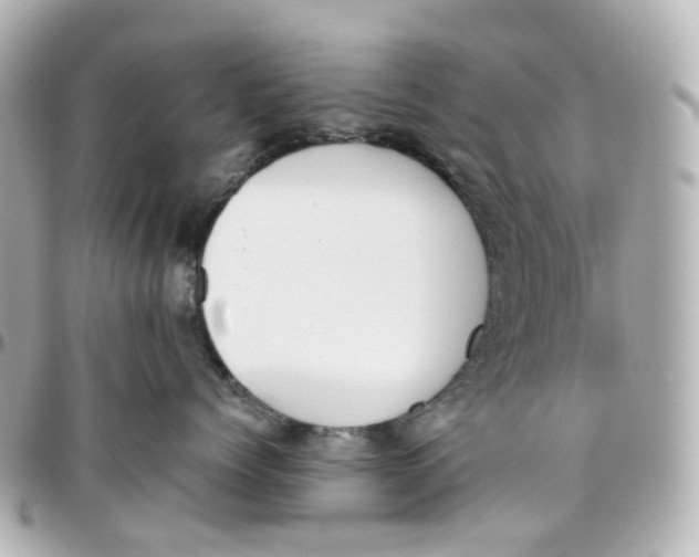 X0000095910768200802011150