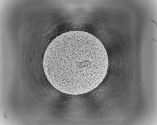 X0000095910769200802011150