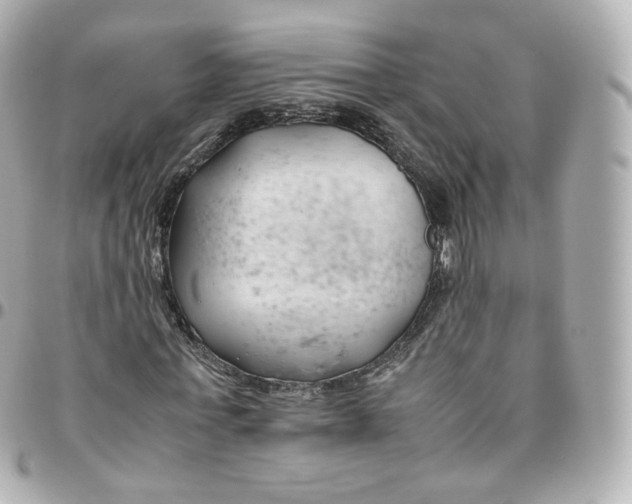 X0000095910771200802011150