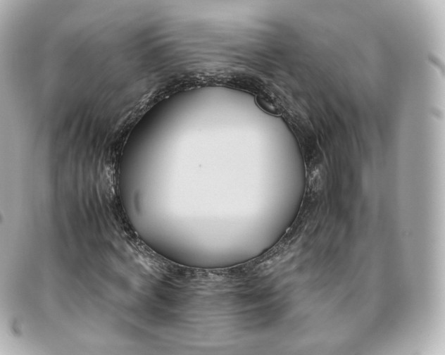 X0000095910772200802011150