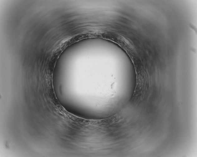 X0000095910773200802011150