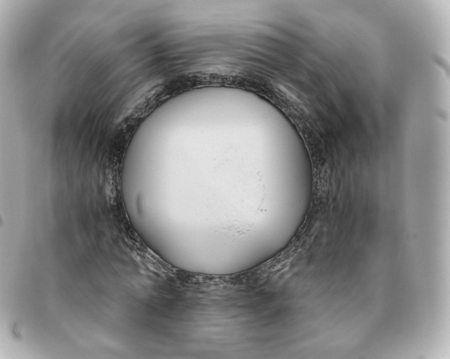 X0000095910774200802011150