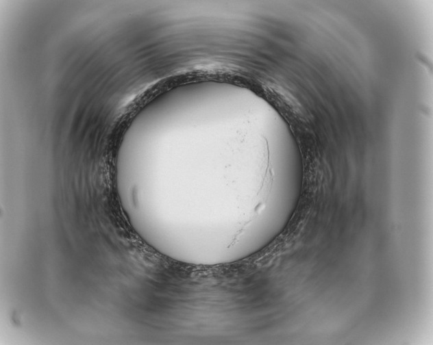 X0000095910776200802011150