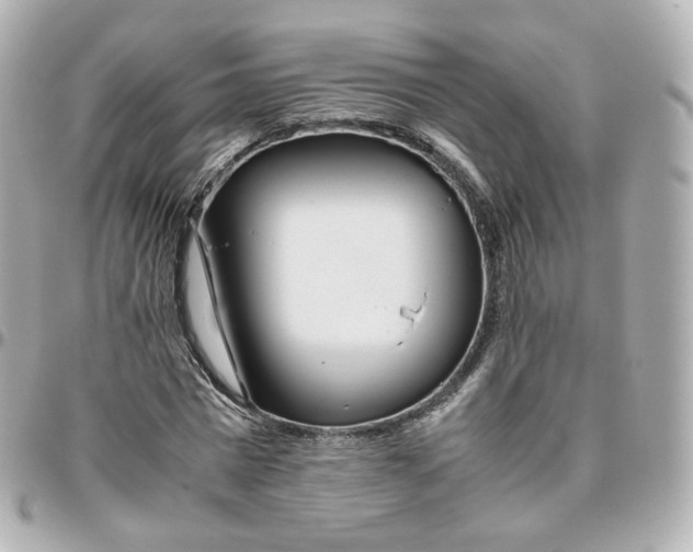 X0000095910777200802011149