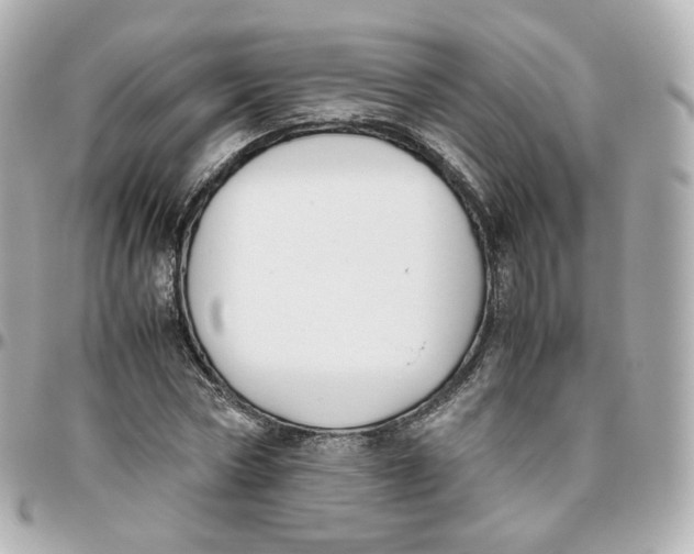 X0000095910778200802011149