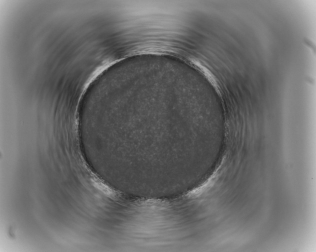 X0000095910779200802011149