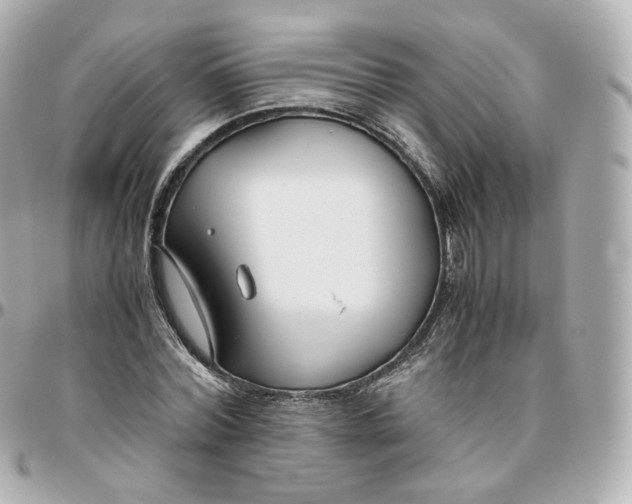 X0000095910780200802011149