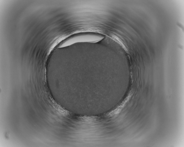 X0000095910781200802011149