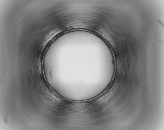 X0000095910782200802011149