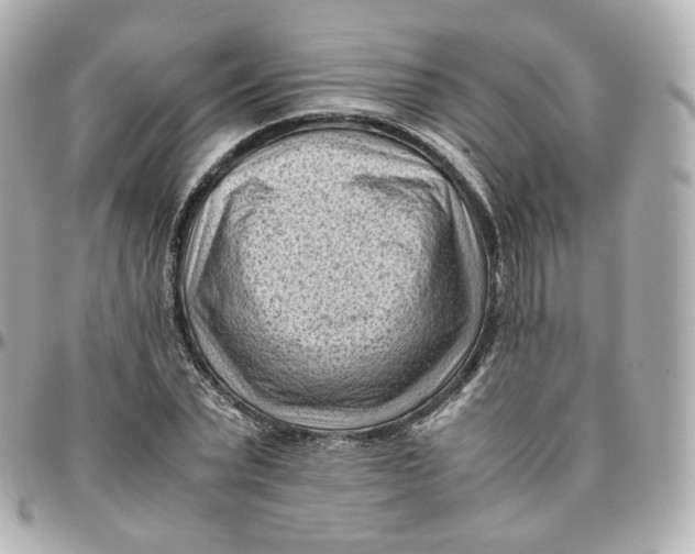 X0000095910783200802011149