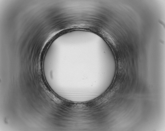 X0000095910784200802011149