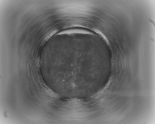 X0000095910785200802011149