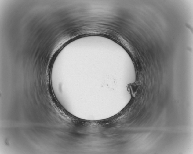 X0000095910787200802011149