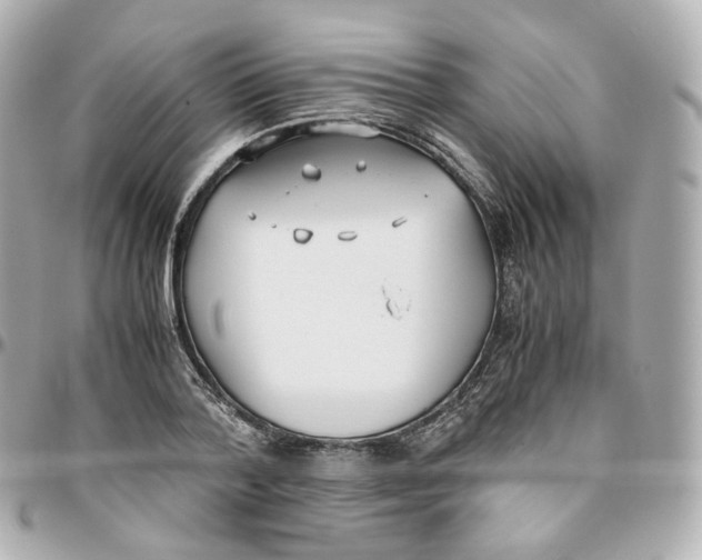 X0000095910788200802011149