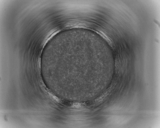 X0000095910790200802011149