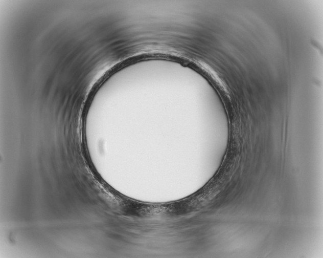 X0000095910791200802011149