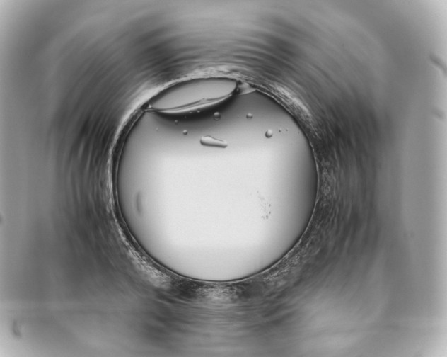 X0000095910792200802011149