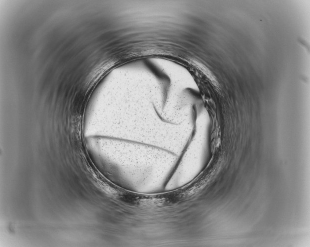 X0000095910793200802011149