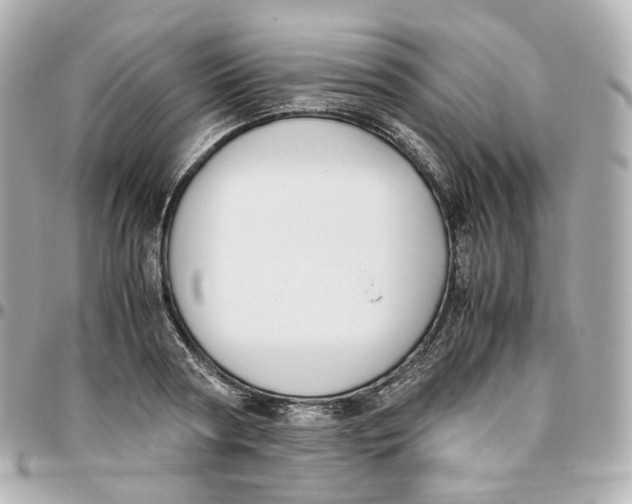 X0000095910794200802011149