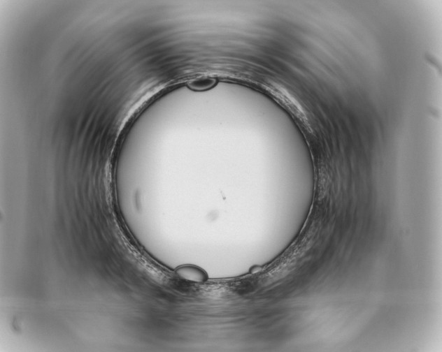 X0000095910798200802011149