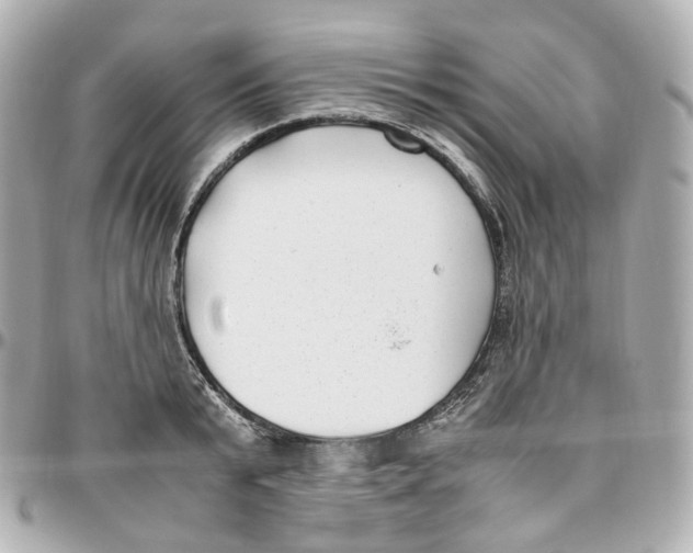 X0000095910799200802011149