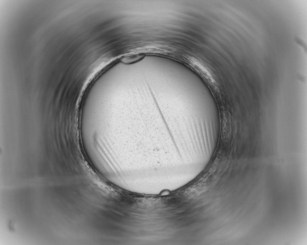 X0000095910800200802011149