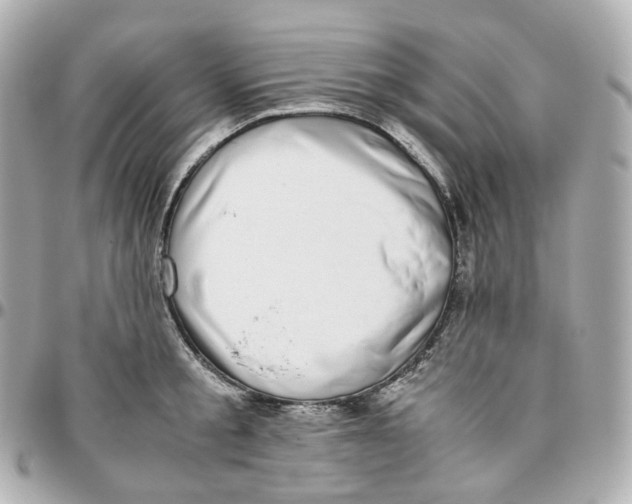 X0000095910805200802011149