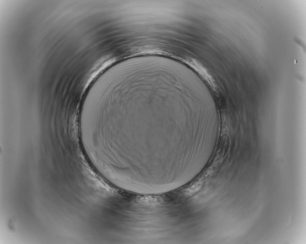 X0000095910806200802011149