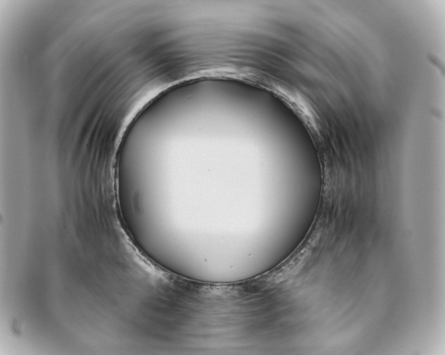 X0000095910808200802011149