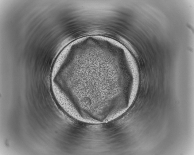 X0000095910810200802011149