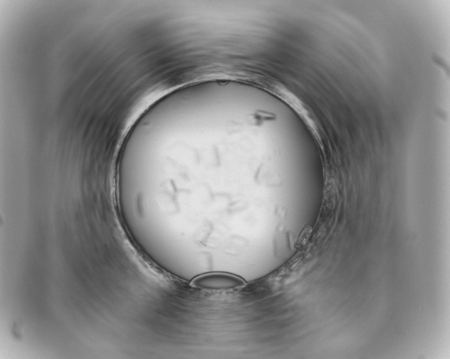 X0000095910811200802011149