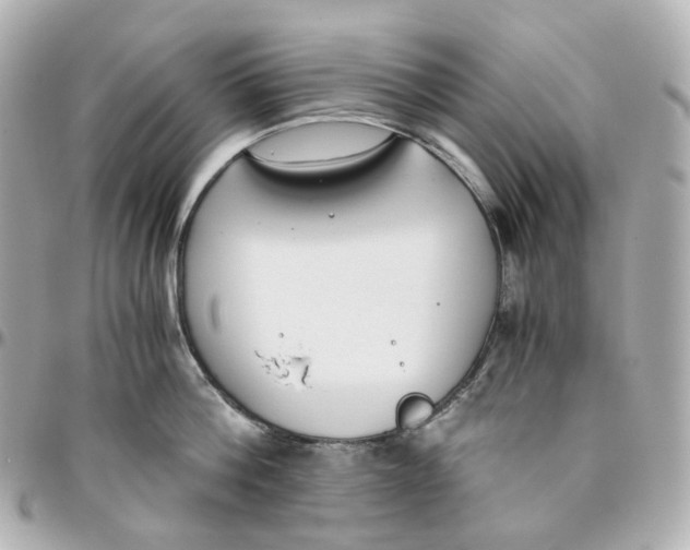 X0000095910812200802011149