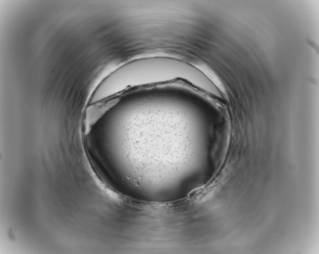 X0000095910813200802011149