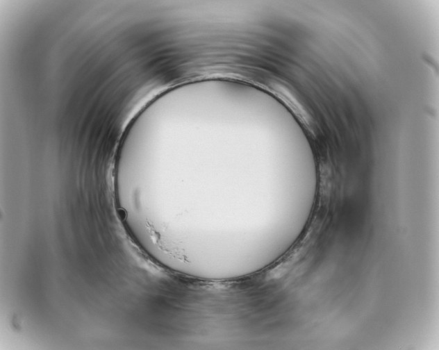 X0000095910814200802011149