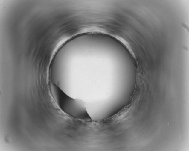 X0000095910815200802011149