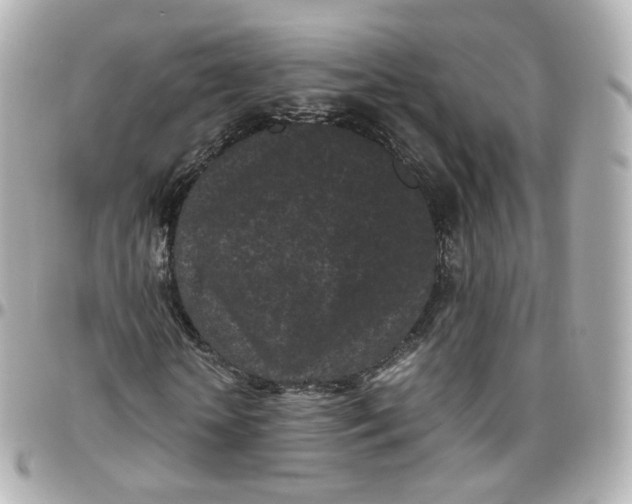 X0000095910818200802011148