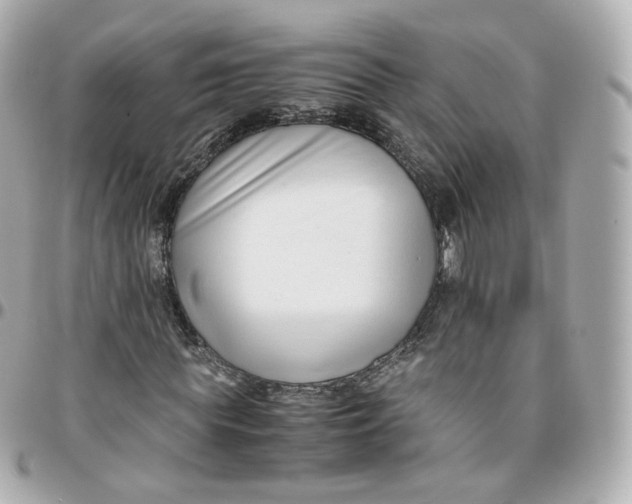 X0000095910819200802011148