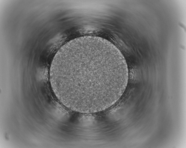 X0000095910820200802011148