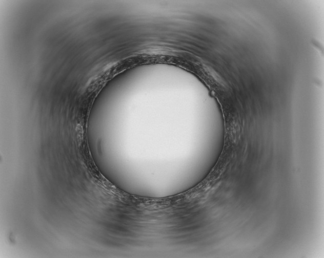 X0000095910821200802011148