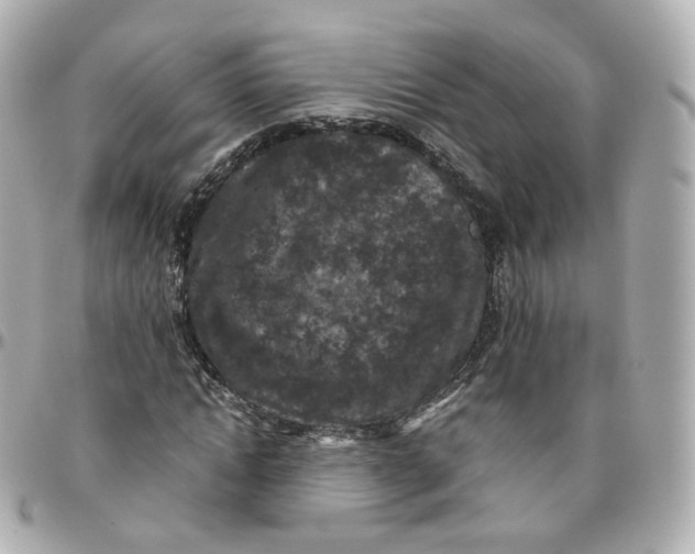 X0000095910822200802011148