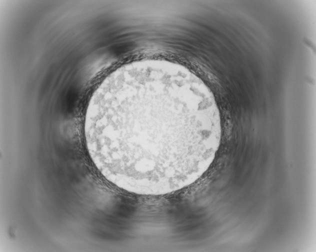 X0000095910824200802011148