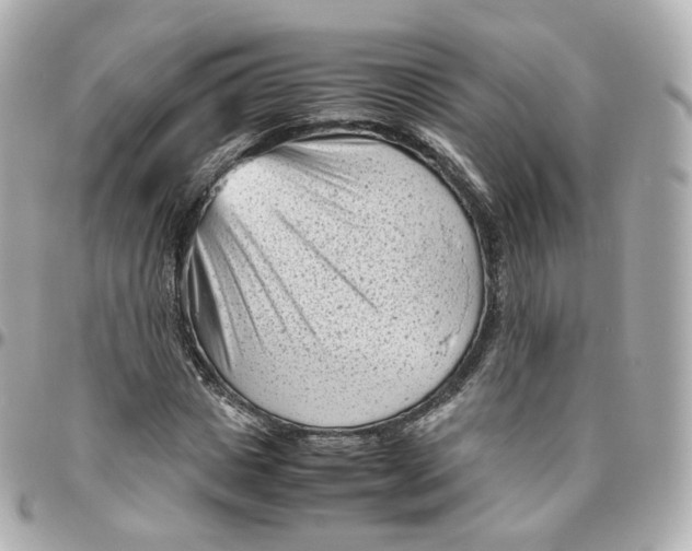 X0000095910825200802011148