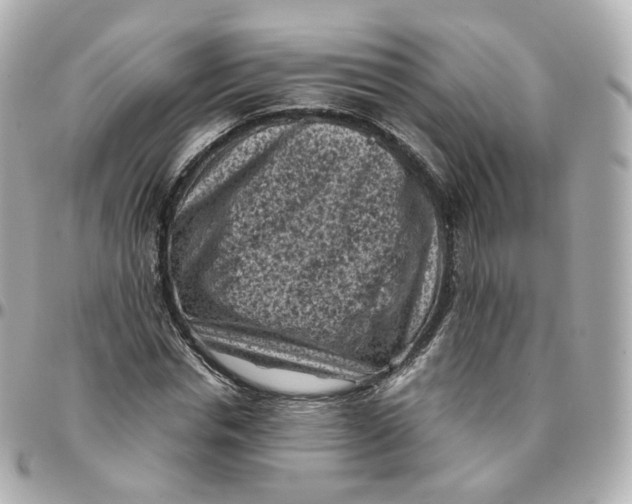 X0000095910826200802011148