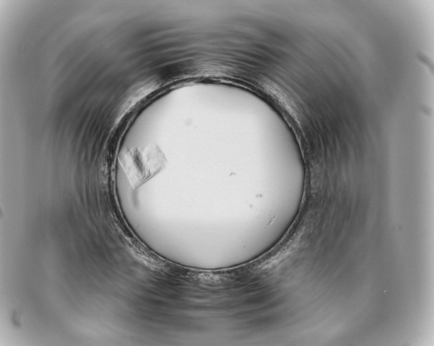 X0000095910827200802011148